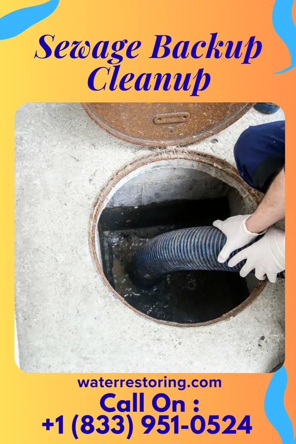 Sewage Backup Cleanup in Redkey, IN