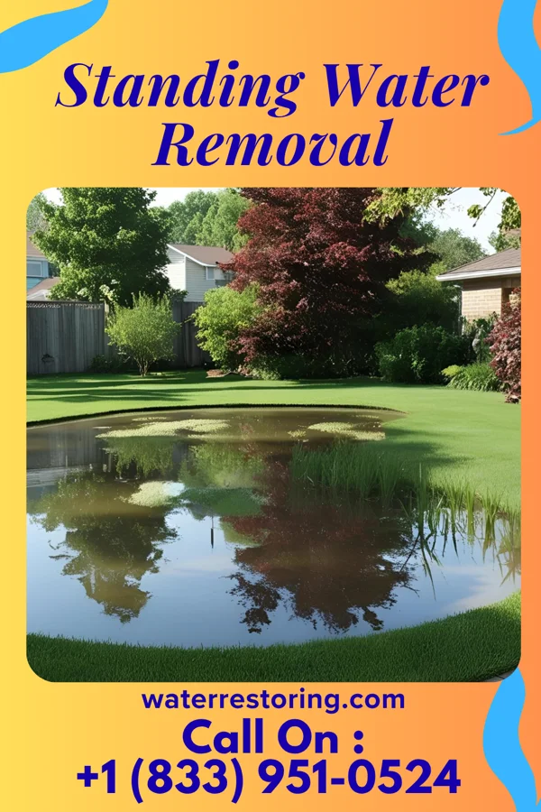 Standing Water Removal in Redkey, IN